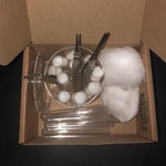 Fang Din Første Myredronning - Startsæt