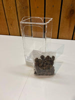 10x10x20 cm ESAntWorld - Terrarie