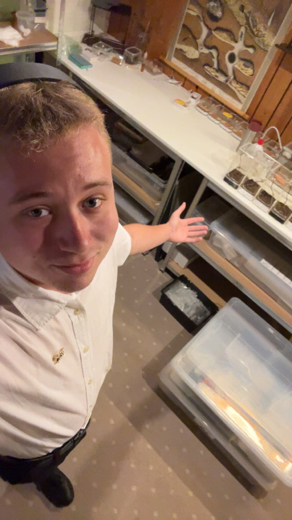 Filosofi - ESAntWorld historie