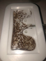 Lille rede ( UDGÅENDE VARER )